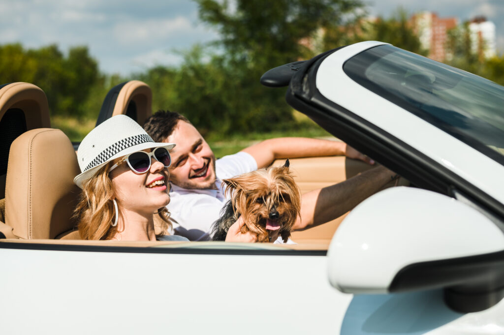 A smiling couple and their dog are sitting in a car.