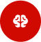 Spinal & Brain Trauma