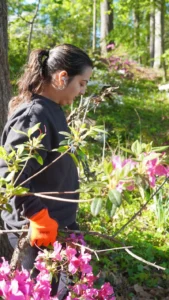 Monique clearing gardens in Cleveland Park