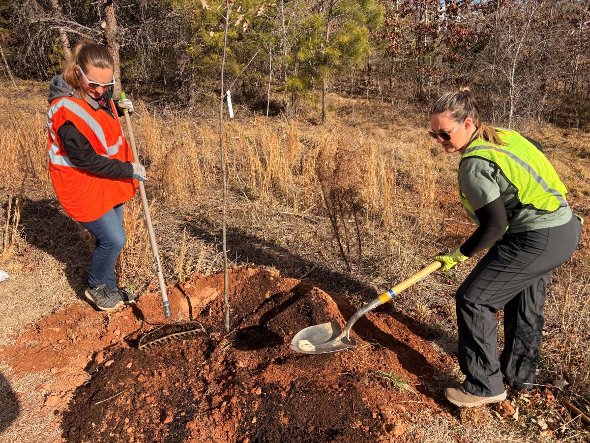 Armada Law Joins TreesUpstate for Community Tree Planting Event – February 2026